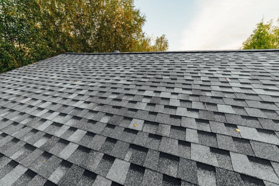 Close-up of a gray shingle roof on a house, with a background of green trees and a partly cloudy sky, conveying a sense of calm and sturdiness.