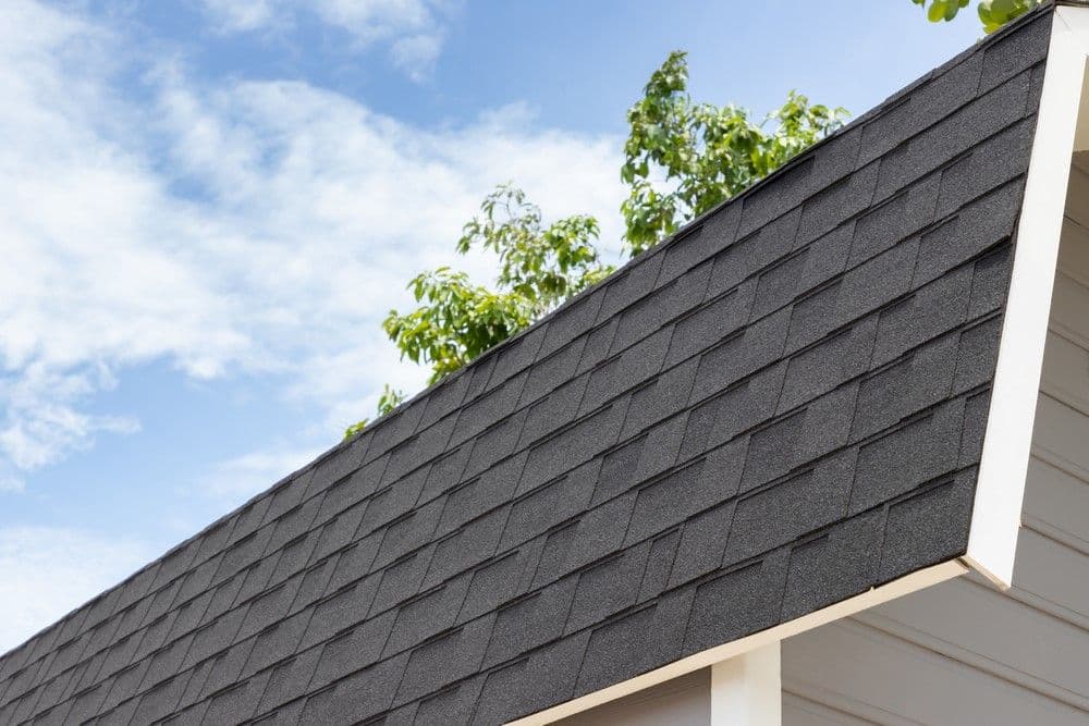 Close-up of a modern roof with dark shingles, set against a bright blue sky. Green foliage peeks over the edge, conveying a calm, fresh vibe.