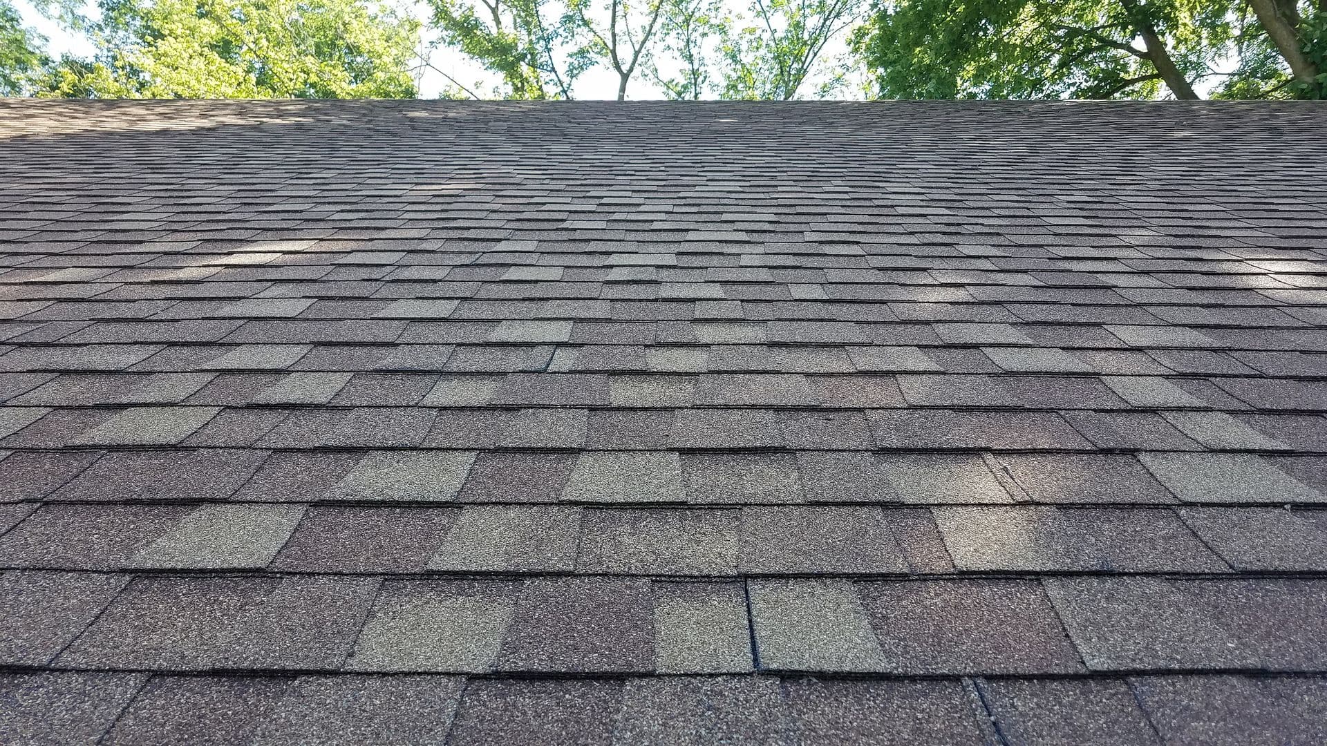 Close-up of a roof with brown asphalt shingles in a grid pattern. Sunlight filters through green trees above, casting soft shadows on the roof.