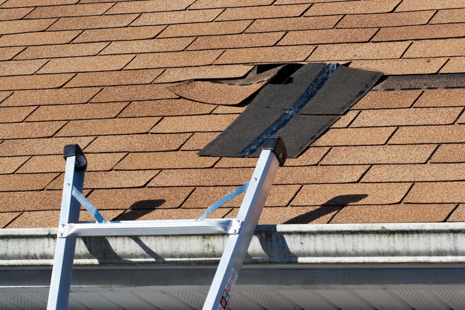 A ladder leans against a roof with damaged brown shingles, some lifted. A replaced shingle patch contrasts in black, suggesting repair work.