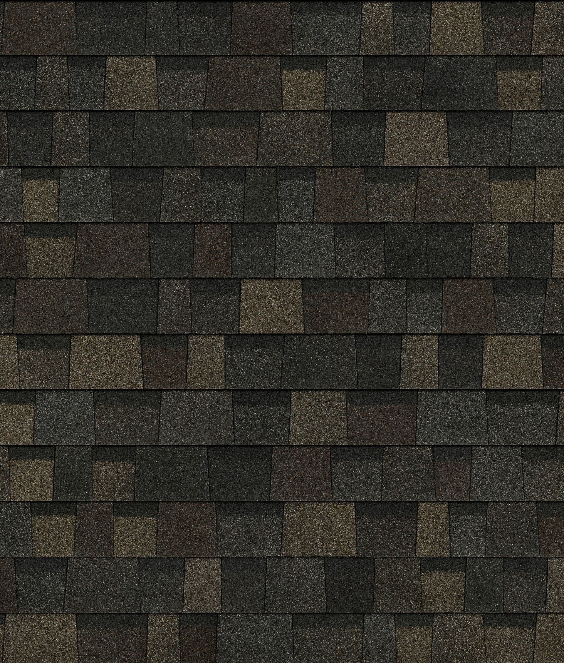 Black Sable