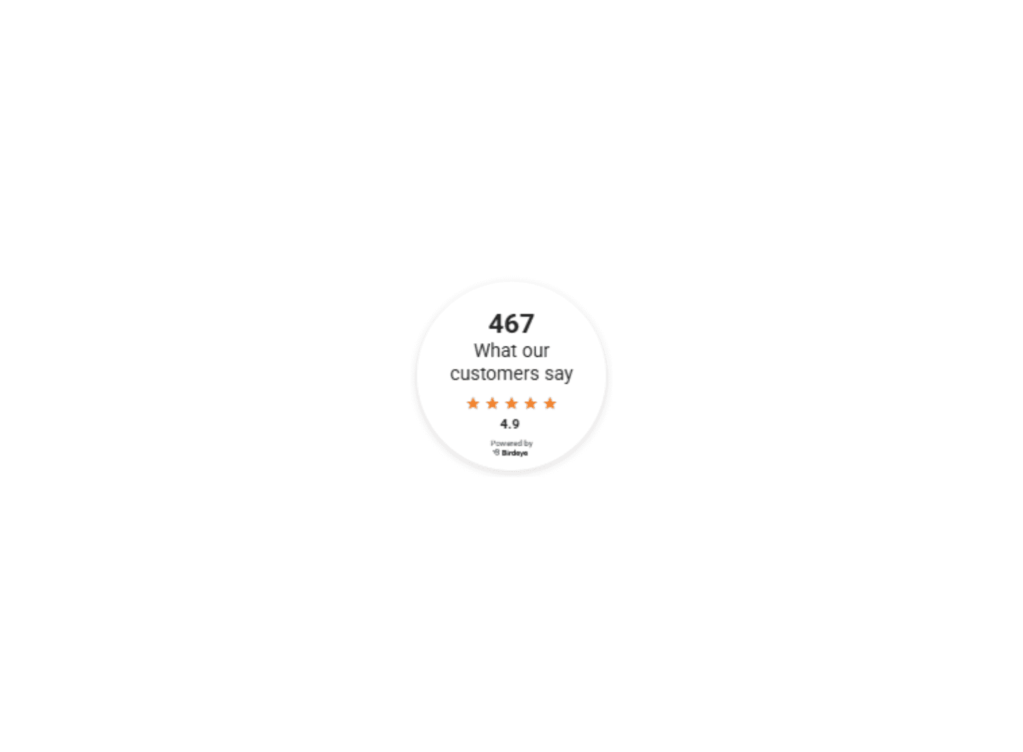 Customer reviews badge showing 467 reviews with 4.9 out of 5 stars, powered by Birdeye