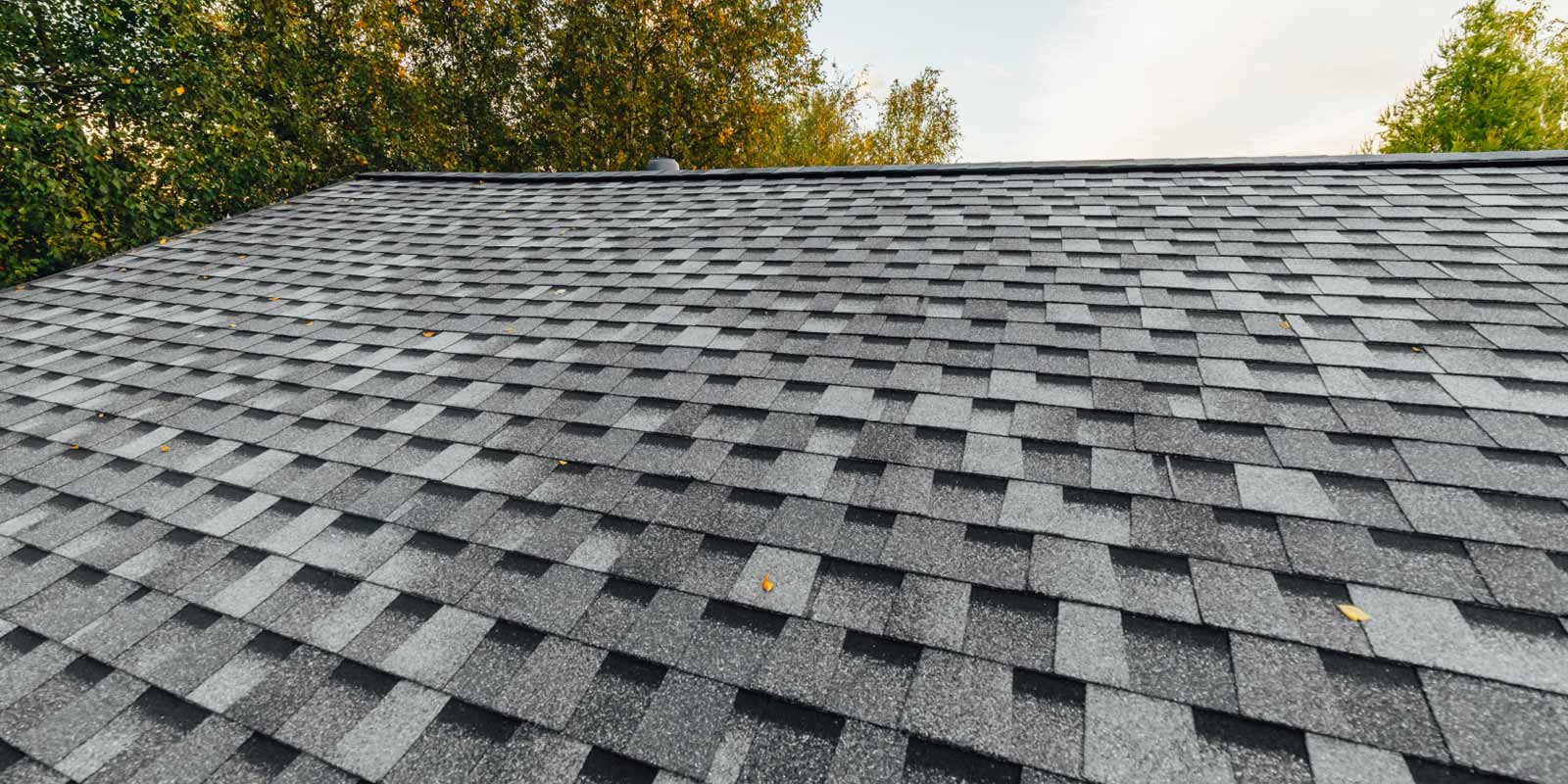 Shower converted from a bath